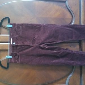 Loft velvet pant